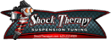Shock Therapy — installed by MST Motorsports in Washington, Utah