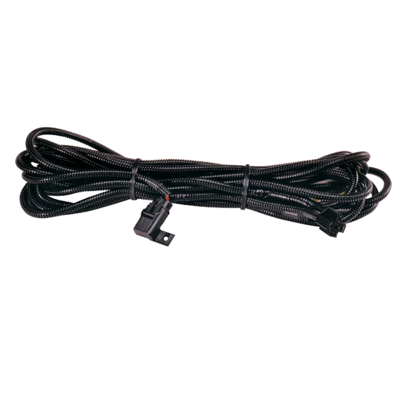 Hella - Hella High Performance Halogen Wiring Harness - H84994031 - MST Motorsports