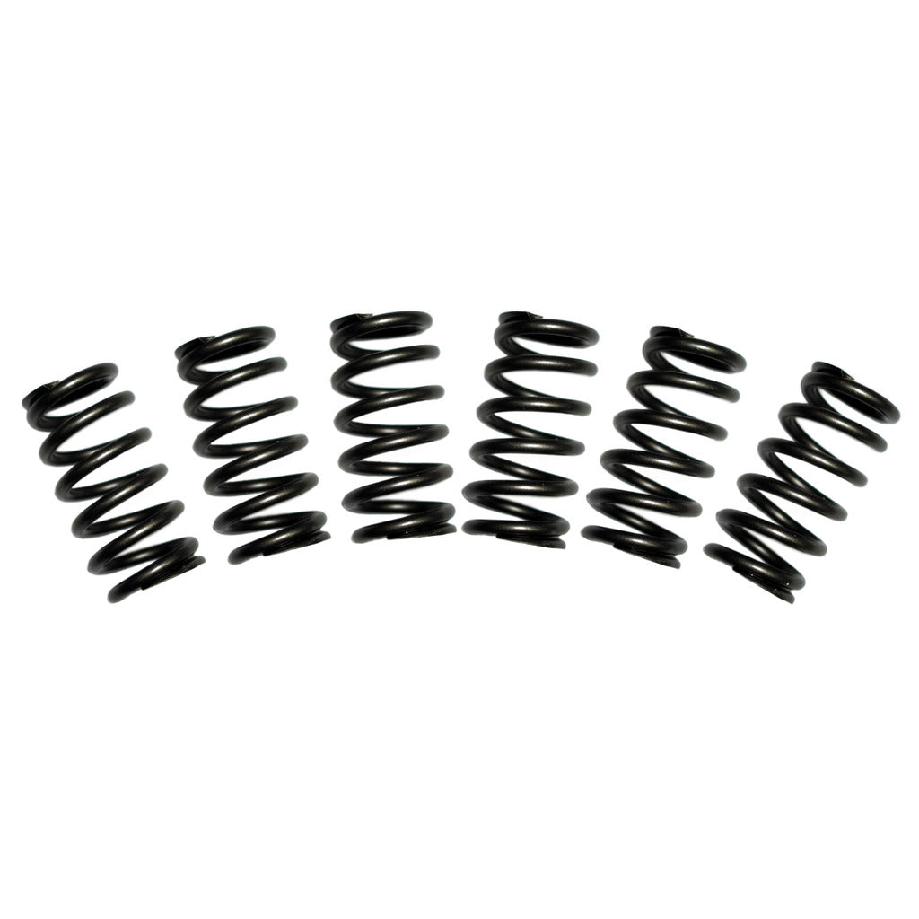 BD Diesel - BD 5.9L Cummins Valve Spring Kit 60lbs Dodge 1988-1998 12-valve - 1030060 - MST Motorsports