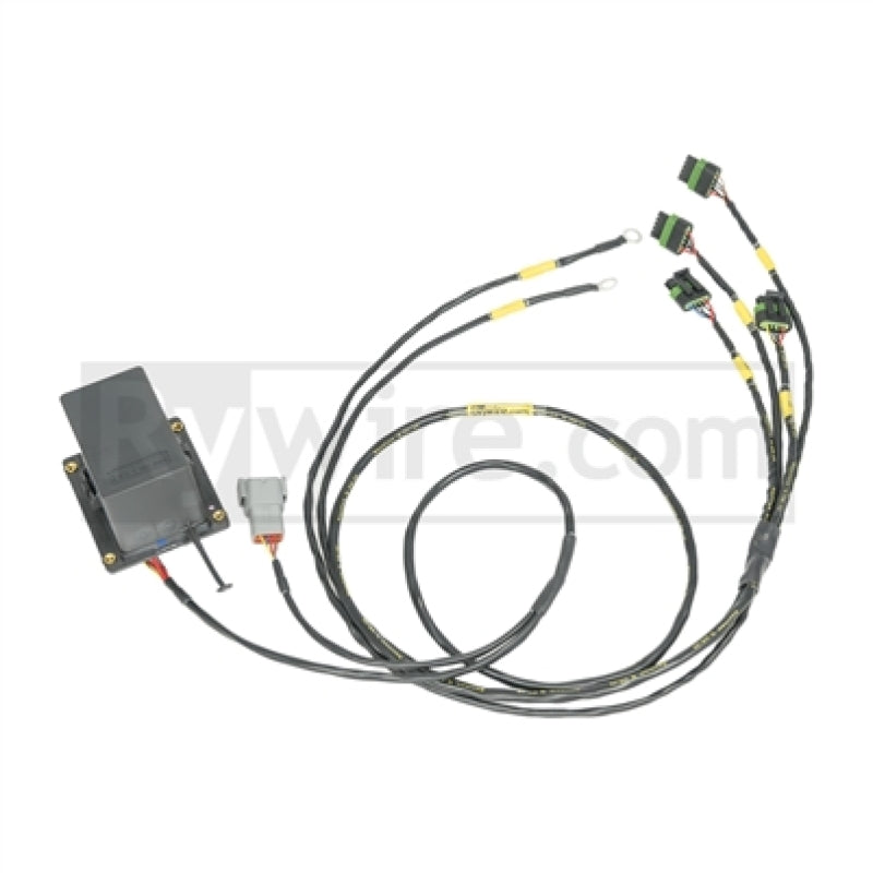 Rywire - Rywire IGBT (AEM/IGN-1A) Coil Sub-Harness for 2 Rotor Engines - RY-COP-IGBT - MST Motorsports