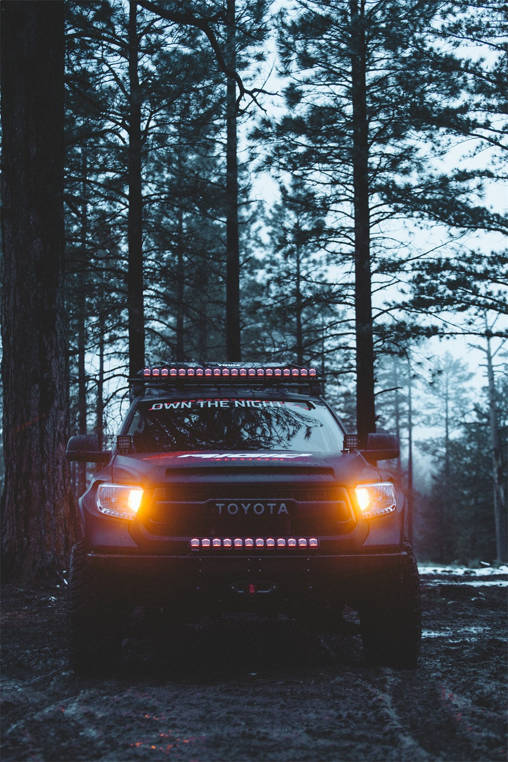 RIGID Industries - RIGID Adapt LED Light Bar With 8 Beam Patterns, GPS And RGB-W Backlight, 20 Inch - 220413 - MST Motorsports