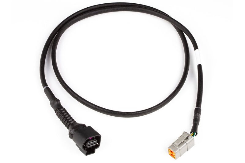 Haltech - Haltech LSU4.9 Wideband Adaptor Harness LSU4.9 to DTM6 - HT-010726 - MST Motorsports