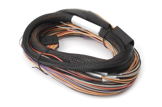 Haltech - Haltech IO 12 Expander Box 8ft Flying Lead Harness (A/B Box) - HT-049902 - MST Motorsports